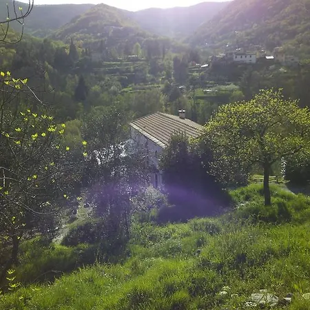 德尔帕帕农家乐 * 斯培西亚